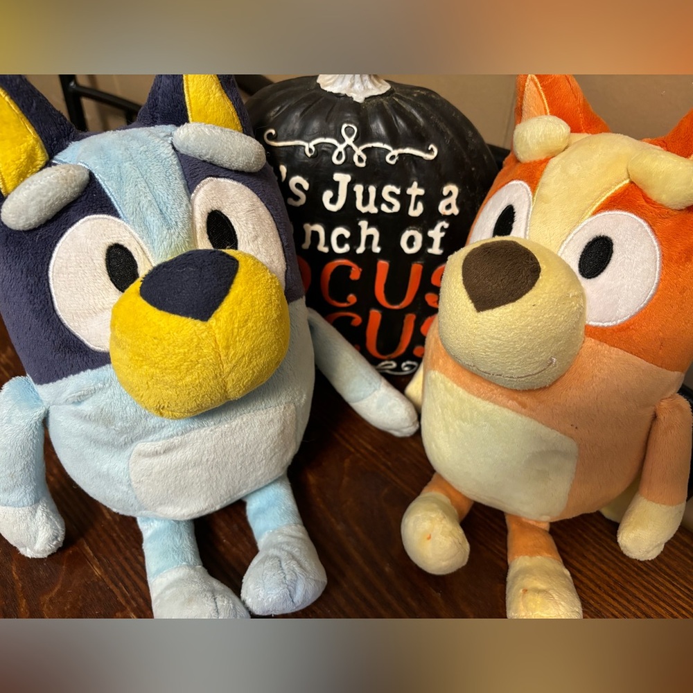 Talking Bluey and bingo